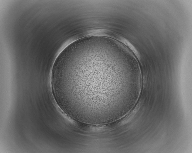 X0000111871386200907301107