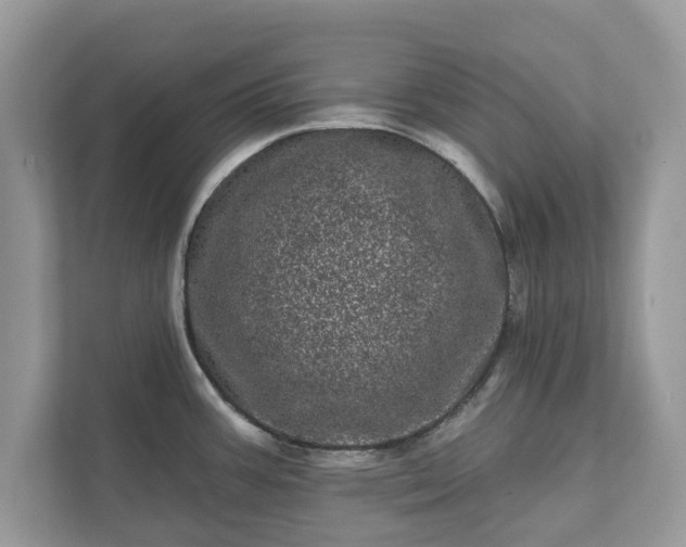 X0000111871387200907301107