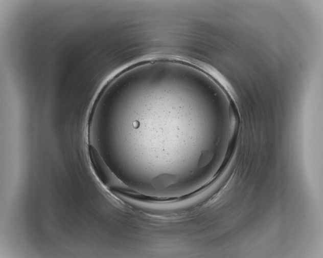 X0000111871388200907301107