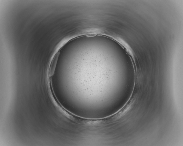 X0000111871389200907301107