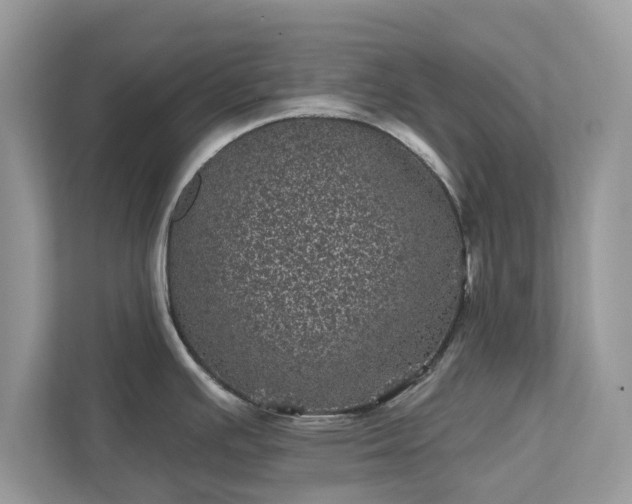 X0000111871391200907301107