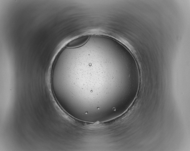 X0000111871392200907301107