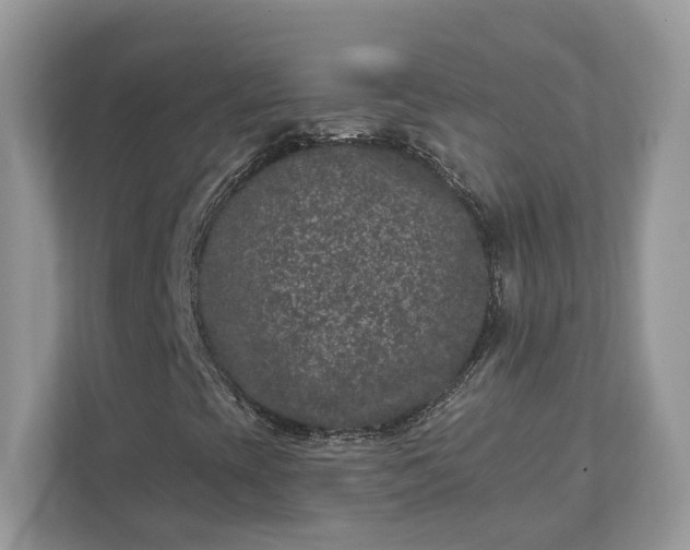 X0000111871393200907301106