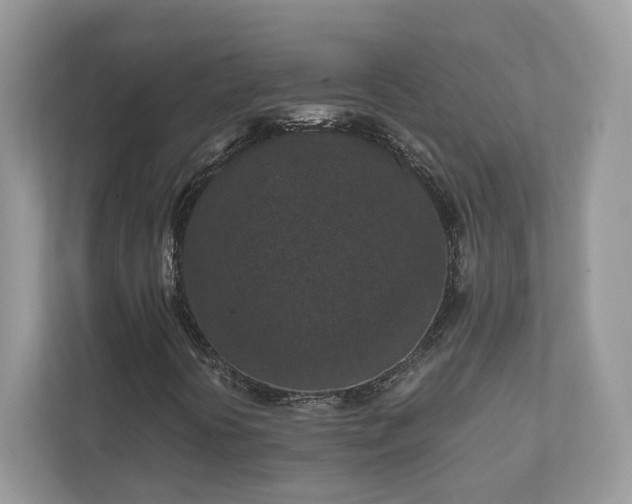 X0000111871394200907301106