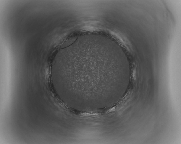 X0000111871397200907301106