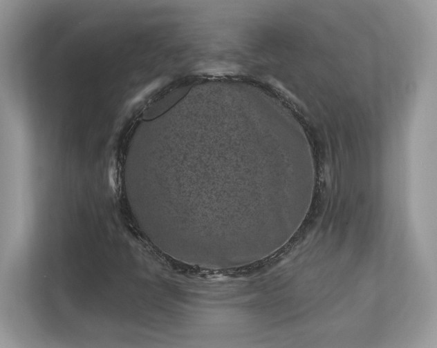 X0000111871398200907301106