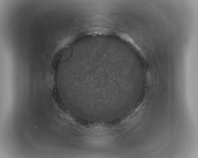 X0000111871399200907301106