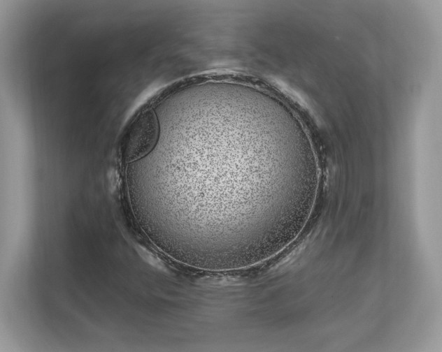 X0000111871400200907301106