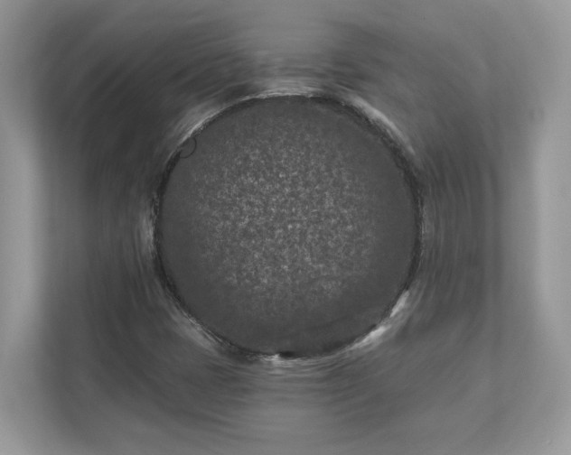 X0000111871401200907301106