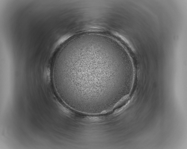 X0000111871402200907301106