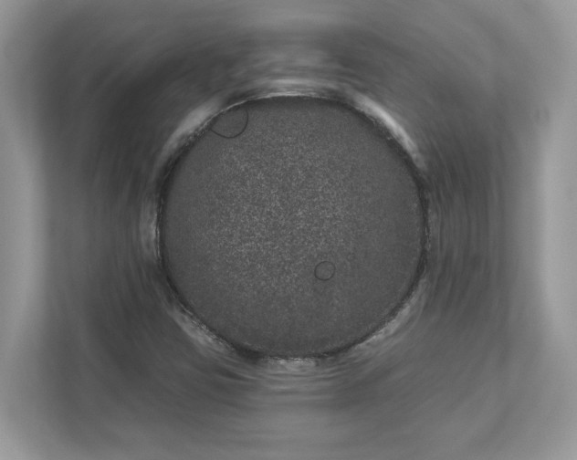 X0000111871403200907301106