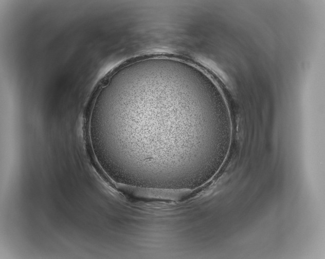 X0000111871404200907301106