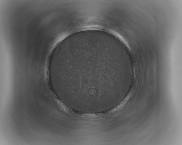 X0000111871405200907301106