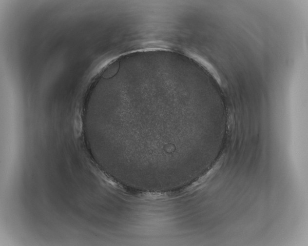 X0000111871407200907301107