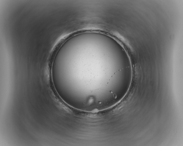 X0000111871408200907301107