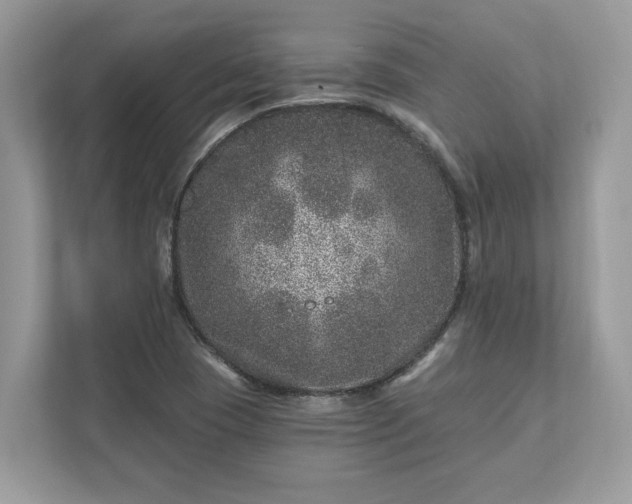 X0000111871409200907301107