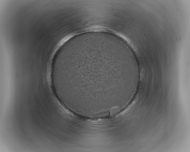 X0000111871410200907301107