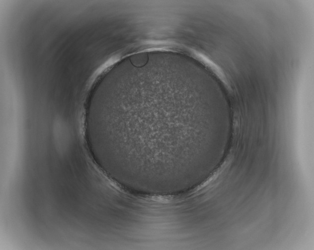 X0000111871411200907301107