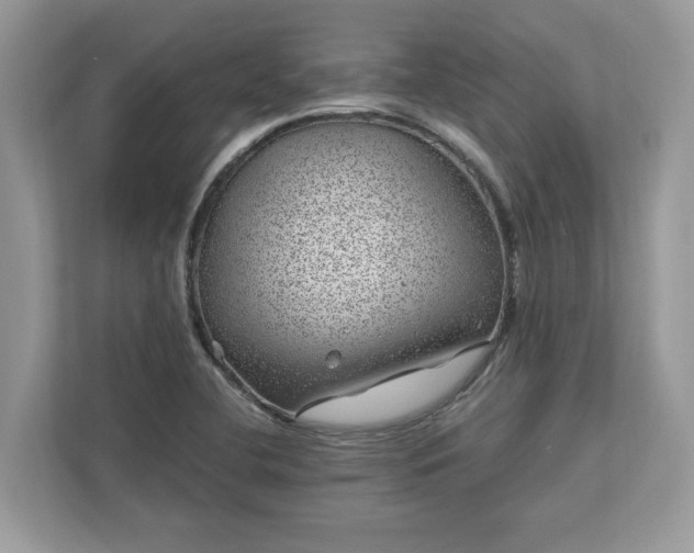 X0000111871412200907301107