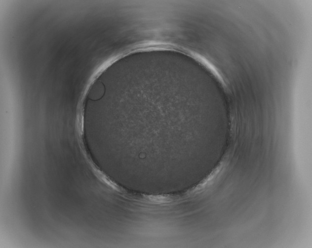 X0000111871413200907301107