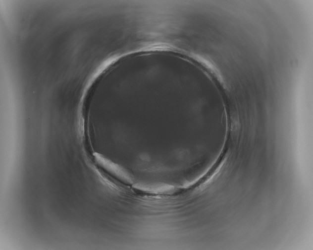 X0000111871414200907301107