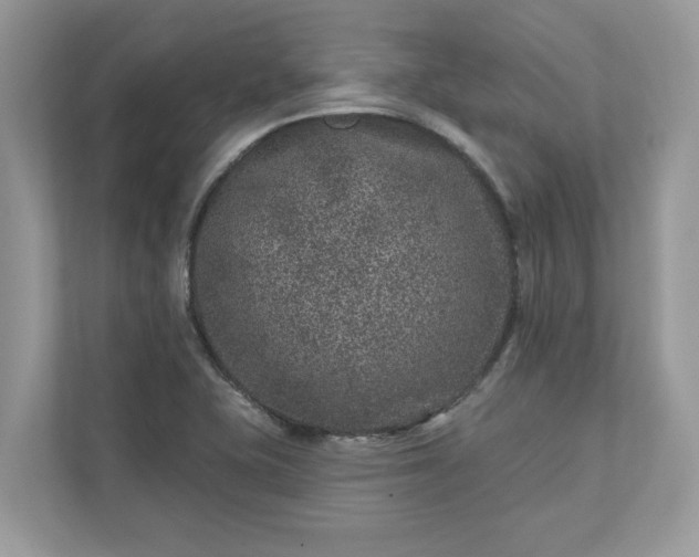 X0000111871415200907301107