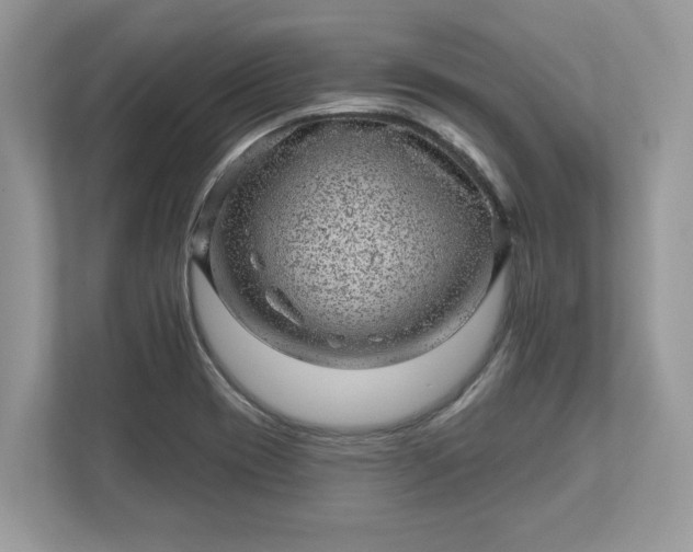 X0000111871417200907301107