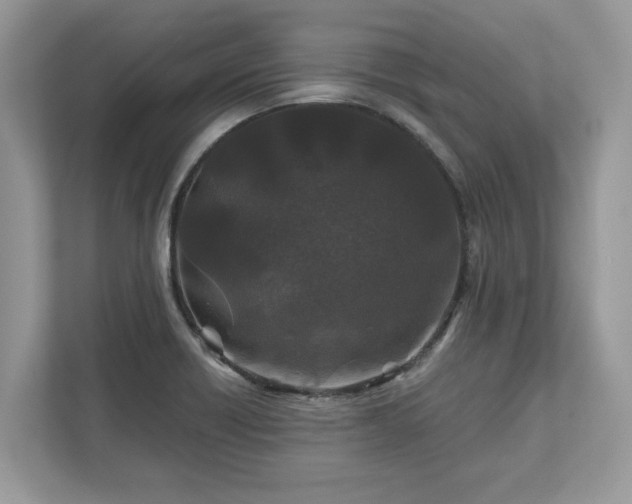 X0000111871418200907301107