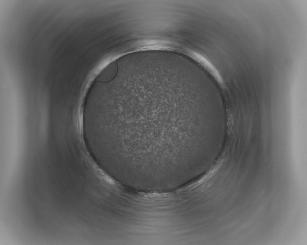 X0000111871419200907301107