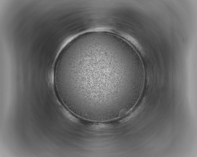 X0000111871420200907301107