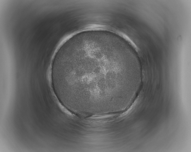 X0000111871421200907301107