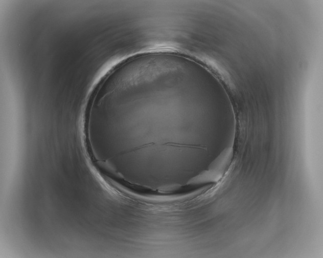 X0000111871422200907301107