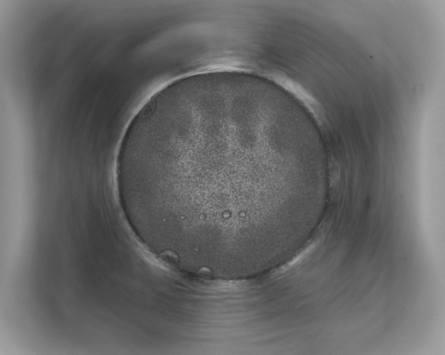 X0000111871423200907301107