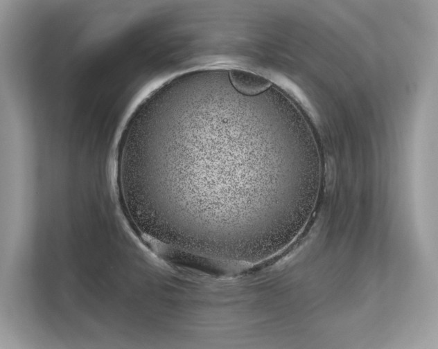 X0000111871424200907301107