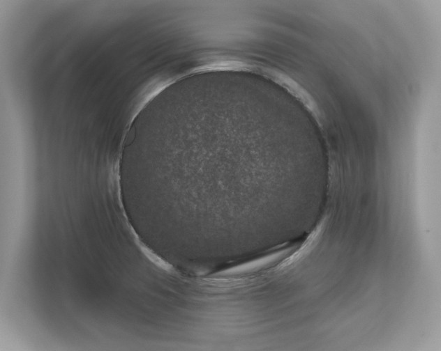 X0000111871425200907301107