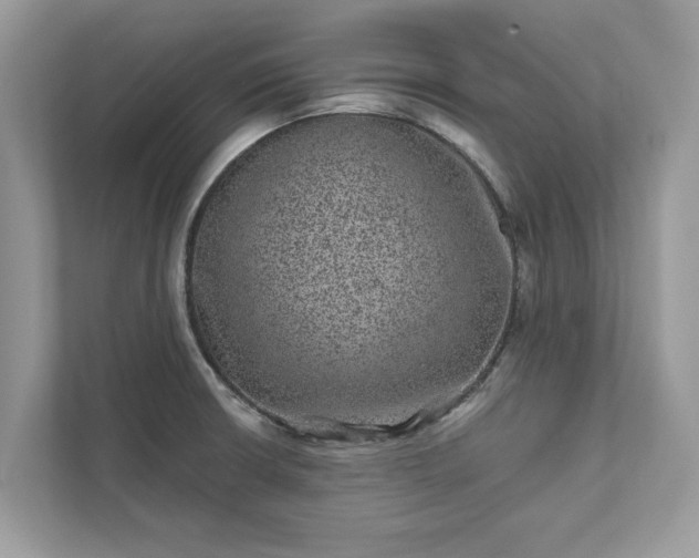 X0000111871426200907301107