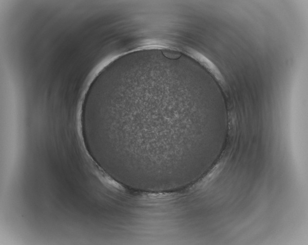 X0000111871427200907301107