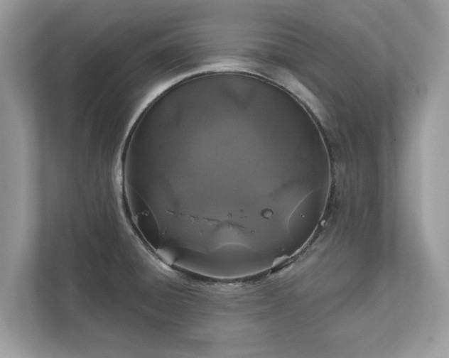 X0000111871428200907301107