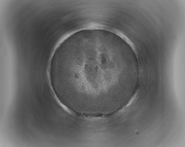 X0000111871429200907301107