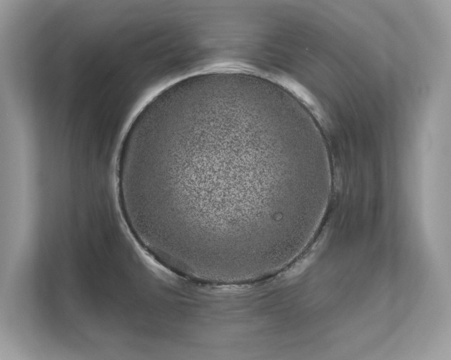 X0000111871430200907301107