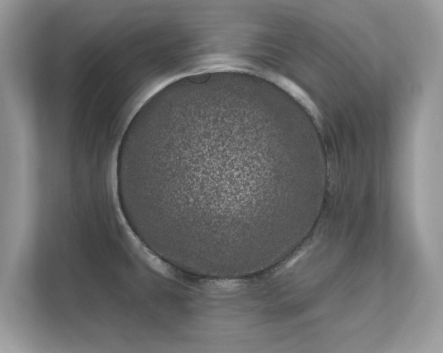 X0000111871431200907301107