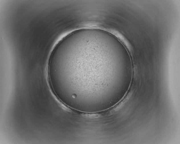 X0000111871432200907301107