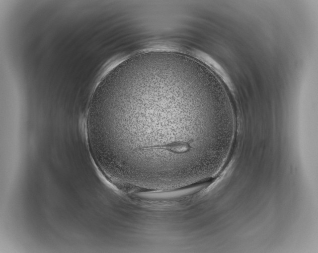 X0000111871433200907301107