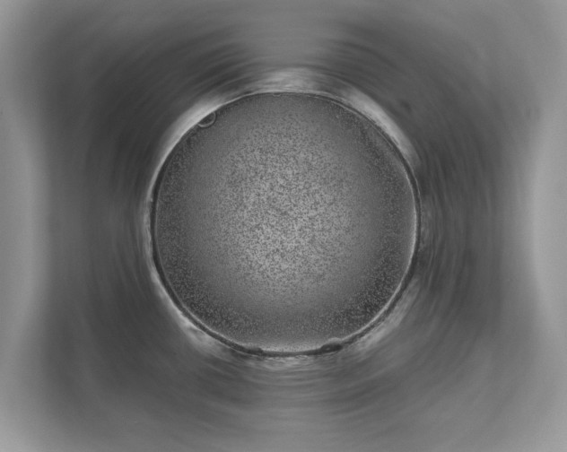 X0000111871434200907301107