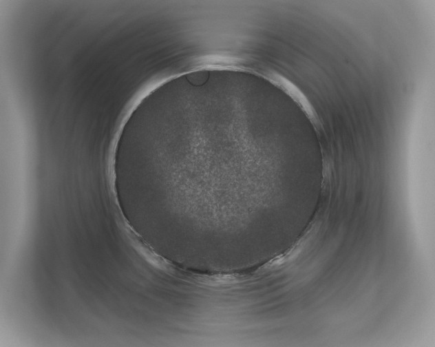 X0000111871435200907301107