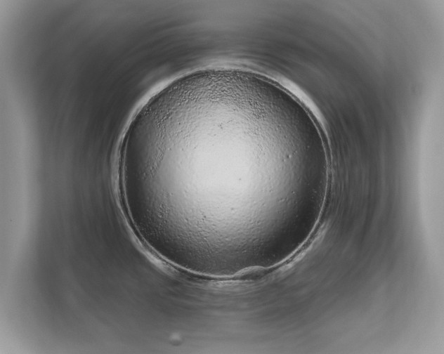 X0000111871437200907301107