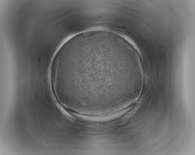 X0000111871438200907301107