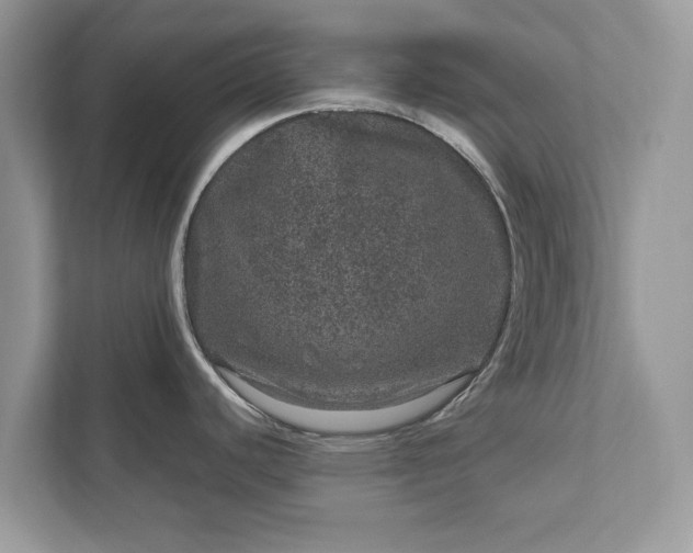 X0000111871440200907301107