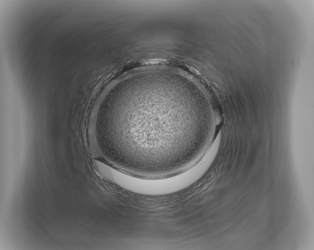 X0000111871441200907301106