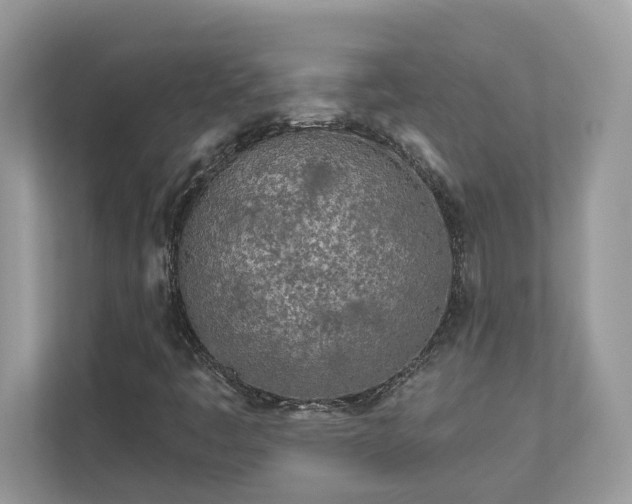 X0000111871445200907301106
